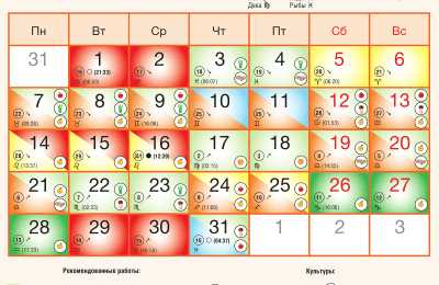 Благоприятные дни для пересадки комнатных цветов в августе 2024 года по лунному календарю