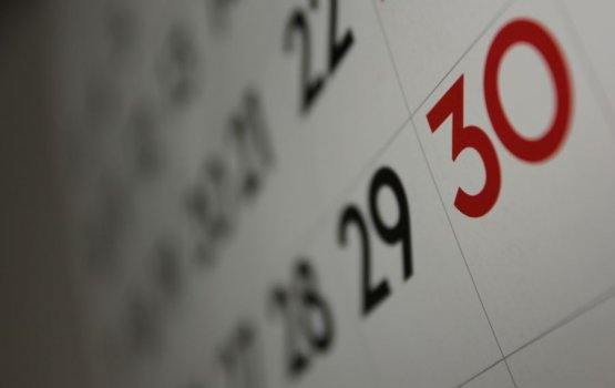 Благоприятные дни для пересадки комнатных цветов в июле 2024 года по лунному календарю