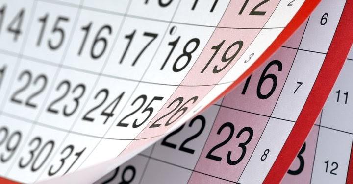 Благоприятные дни для пересадки комнатных цветов в феврале 2024 года по лунному календарю